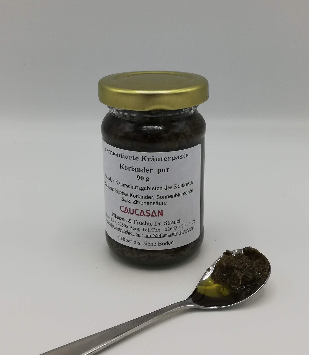 Kräuterpaste Koriander pur, fermentiert, 90g -0