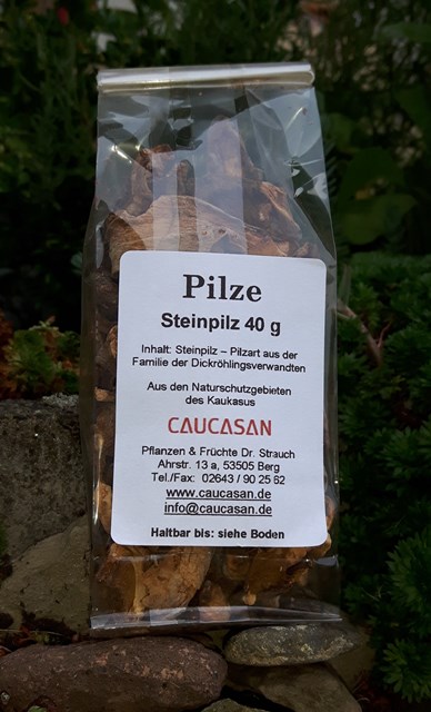Pilze Steinpilz wild, 40g-0