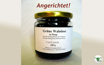 CAUCASAN_angerichtet_vegan