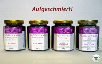 CAUCASAN_aufgeschmiert_vegan-332x208